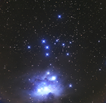 NGC1981