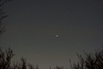 Comet Leonard
