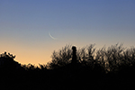 Old Moon, Wednesday June 5, 2024