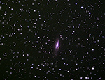 NGC7331