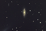 Arp14