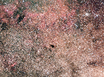 Barnard 235
