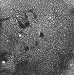 Barnard 68 and environs, labeled image