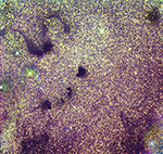 Barnard 68 and environs, labeled image