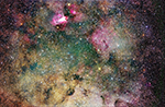 M18, labeled image