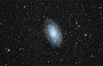 M33