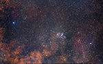 M6, labeled image