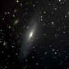 NGC7331