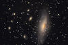 NGC7331