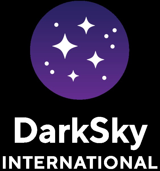 DSI logo